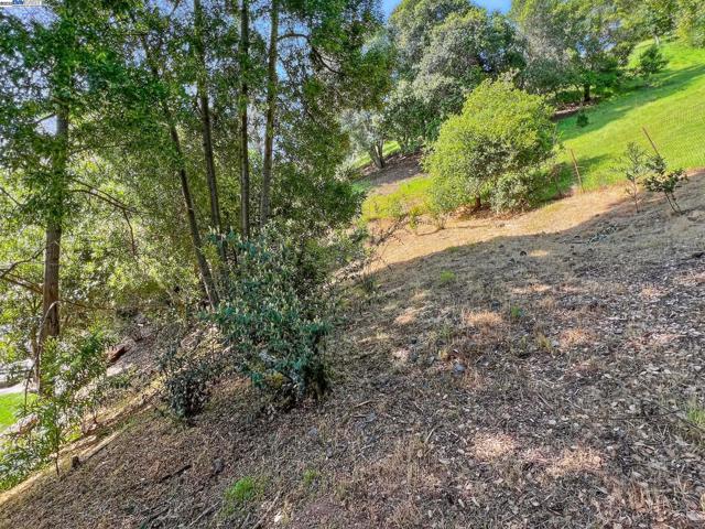 35 San Joaquin Pl, Novato CA: https://media.crmls.org/mediaz/694f20ea-a837-46e0-a94f-1e6013f03d9a.jpg
