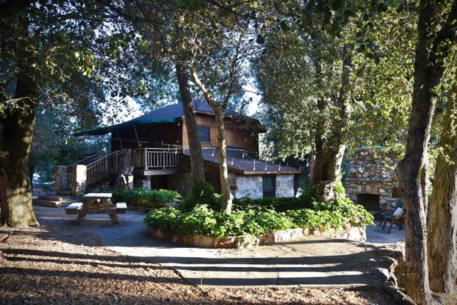 28967 Oak Ln, Pine Valley CA: https://media.crmls.org/mediaz/6956daf3-dc7d-4519-b66f-68bf3c6b654e.jpg