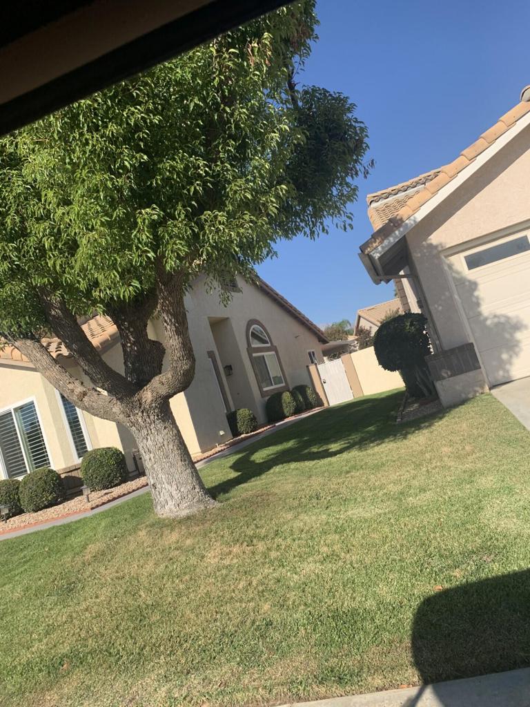 MLS #219139326DA image #6