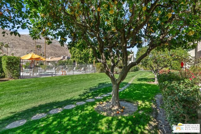 2029 S Ramitas Way, Palm Springs CA: https://media.crmls.org/mediaz/695b77df-4b81-4b3c-bcd3-aa2b1b9d911e.jpg
