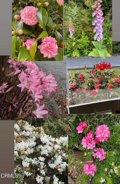 31400 Sherwood Road, Fort Bragg CA: https://media.crmls.org/mediaz/695f9207-8812-4d98-ba9e-711bd0857687.jpg