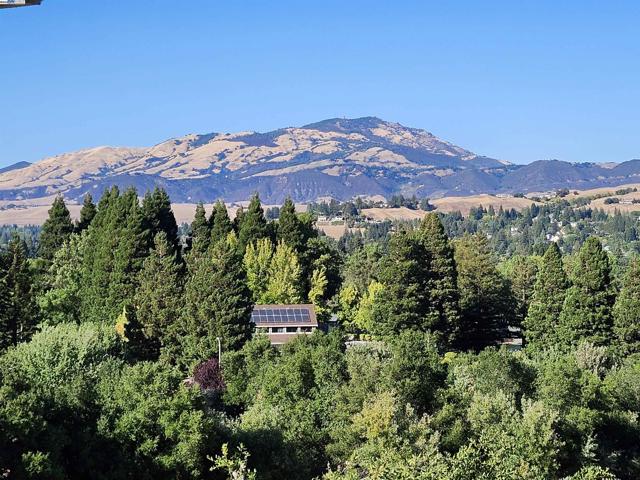 1823 Mockingbird Pl, Danville CA: https://media.crmls.org/mediaz/69662102-ee38-4296-9ad6-41d095451340.jpg
