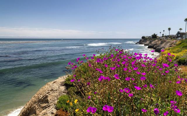 355 30th Avenue, Santa Cruz CA: https://media.crmls.org/mediaz/6967a77c-9516-413a-aa15-36044196ec89.jpg
