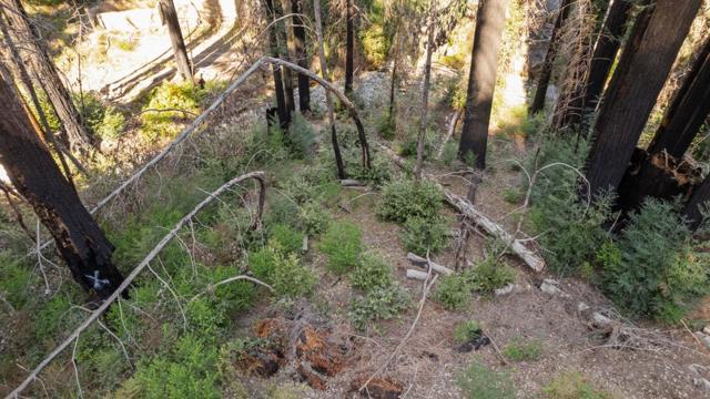 0 Boulder Brook Drive, Boulder Creek CA: https://media.crmls.org/mediaz/6967ea57-0f28-43b5-a72b-aece81f57172.jpg