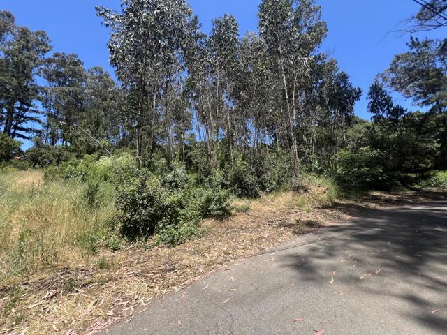 17160 Wilson Way, Royal Oaks CA: https://media.crmls.org/mediaz/697a4597-7850-40cc-9517-4e6673a62717.jpg