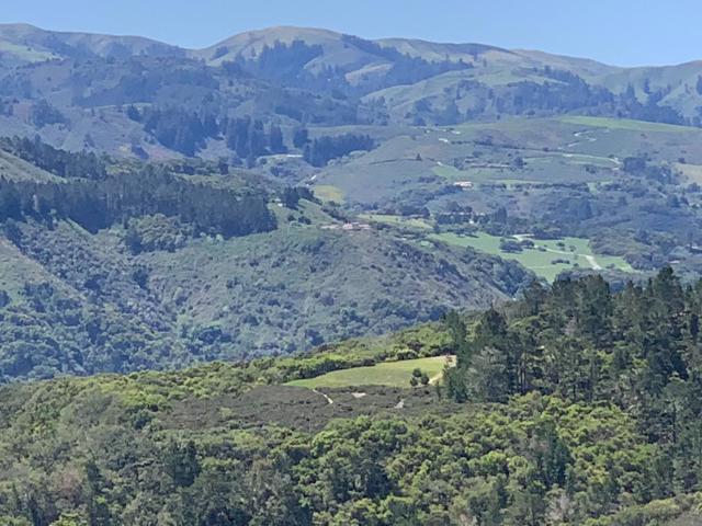 64 Marguerite (Tehama), Carmel CA: https://media.crmls.org/mediaz/697aa999-5e24-4907-9fd4-e374166d2b0f.jpg