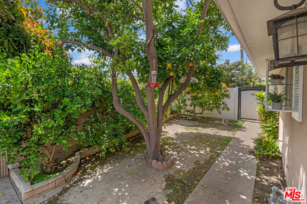 MLS #25538517 img 1
