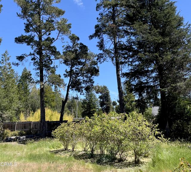 29331 Albion Ridge Road, Albion CA: https://media.crmls.org/mediaz/698463af-9342-4582-91d6-c2dad67ef2a0.jpg