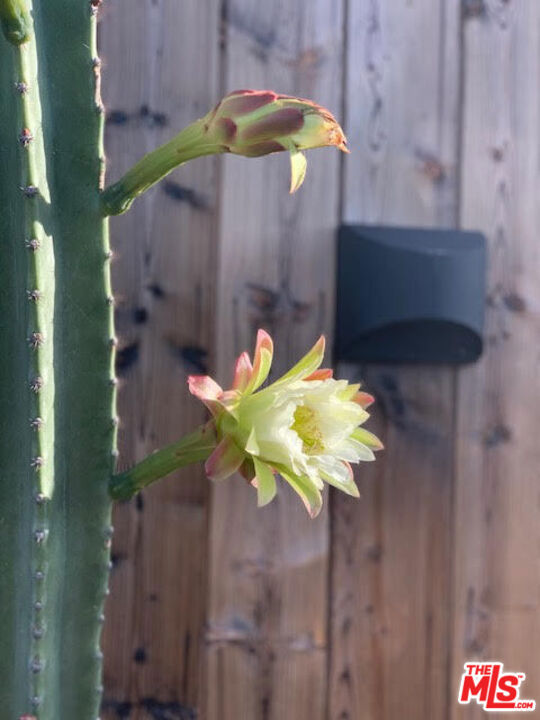 https://media.crmls.org/mediaz/698a7d4c-7921-4132-ab99-55439e6d8f38.jpg?preset=X-Large