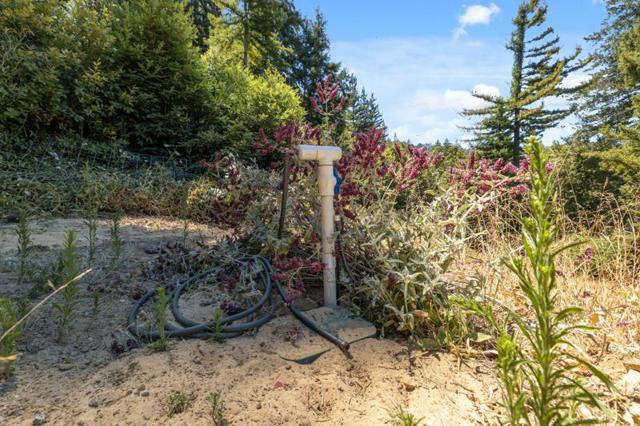 280 Sweetwater Lane, Ben Lomond CA: https://media.crmls.org/mediaz/699a366d-778e-4bee-8d76-b2f581a7ef02.jpg