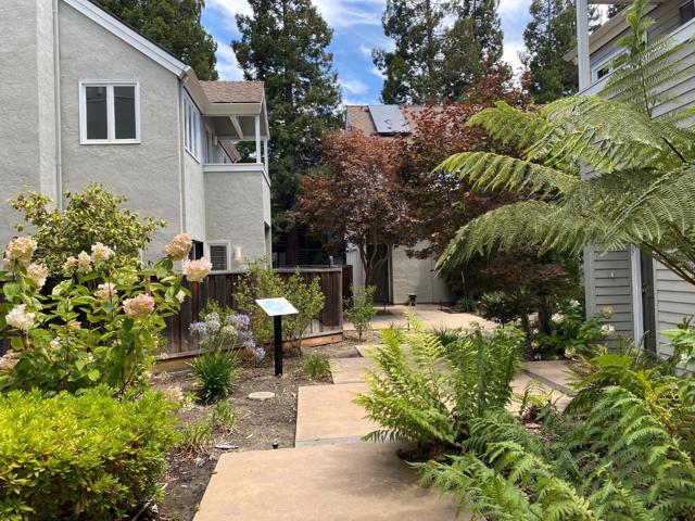 907 Cowper Street, Palo Alto CA: https://media.crmls.org/mediaz/699a710f-7318-465e-97b7-7d612cfef9d0.jpg