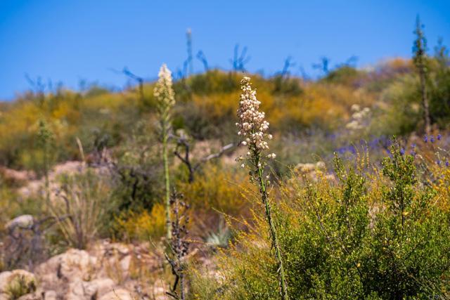 0 Tenaja, Fallbrook, California 92028, ,Residential Land,For Sale,Tenaja,NDP2405556