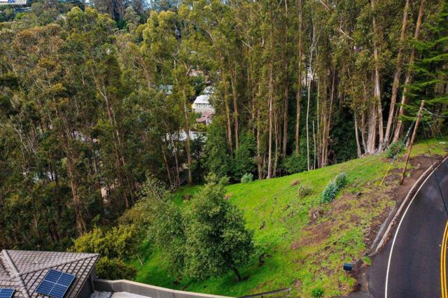 7675 Skyline Blvd, Oakland CA: https://media.crmls.org/mediaz/69aebf64-b6a0-42b5-aff1-4e9492da7c8c.jpg