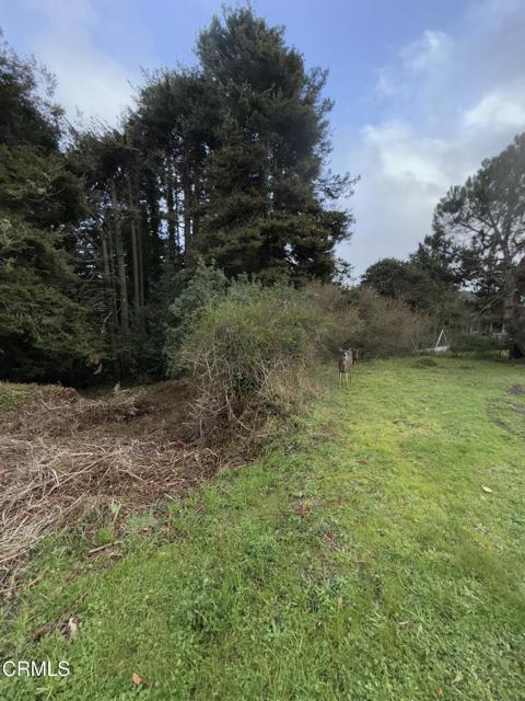 596 S Sanderson Way, Fort Bragg CA: https://media.crmls.org/mediaz/69b81c00-f026-4939-b935-8efb1b8b50c0.jpg
