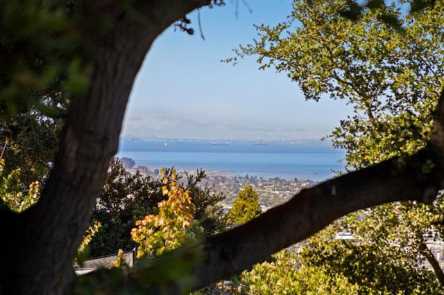 2310 Wooster Avenue, Belmont CA: https://media.crmls.org/mediaz/69bac9ac-aa63-4ee2-998f-faf3f00faec0.jpg