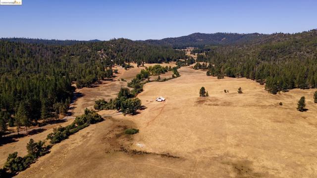 10488 Converse RD, Coulterville CA: https://media.crmls.org/mediaz/69bd3c5d-5957-40aa-a37e-f9b0e972dae0.jpg