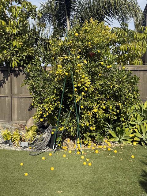 Detail Gallery Image 21 of 26 For 438 Cota Ln, Vista,  CA 92083 - 4 Beds | 3/1 Baths