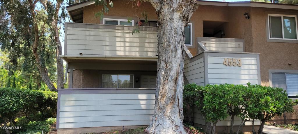 4553 Alamo Street #F