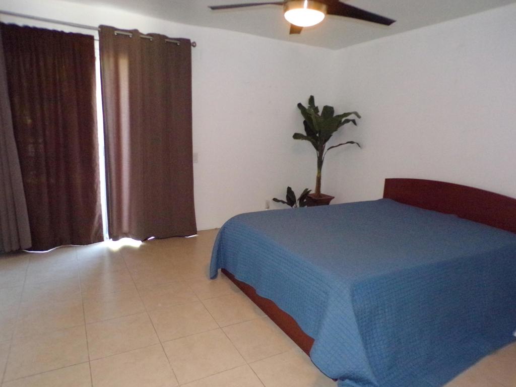 MLS #219138745DA image #4