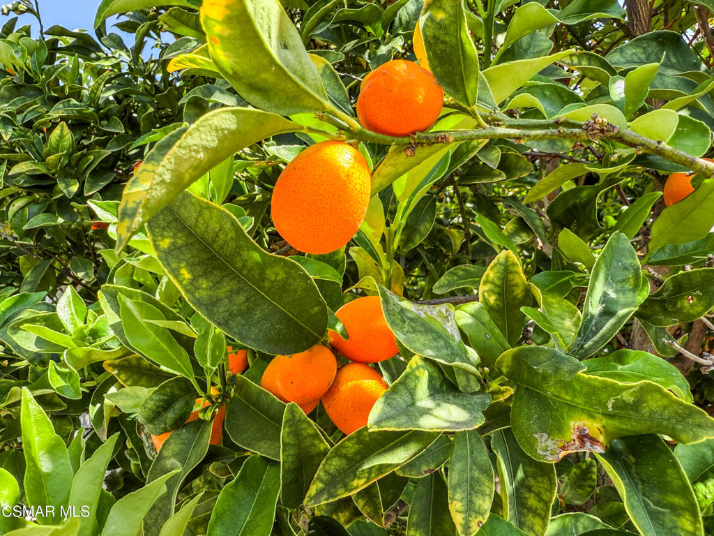 https://media.crmls.org/mediaz/69e08cef-459d-4e90-bb4e-30b6e54257be.jpg?preset=X-Large