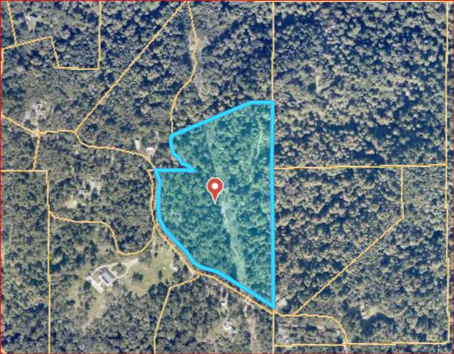 0 Allen, Woodside CA: https://media.crmls.org/mediaz/69e0b622-5eaa-44c8-ba48-ff148c5256e2.jpg