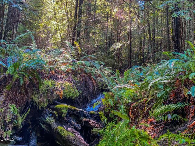 0 Irmulco Road, Willits CA: https://media.crmls.org/mediaz/69e0e238-c3ad-4983-9ade-1ee8fb9e39d0.jpg