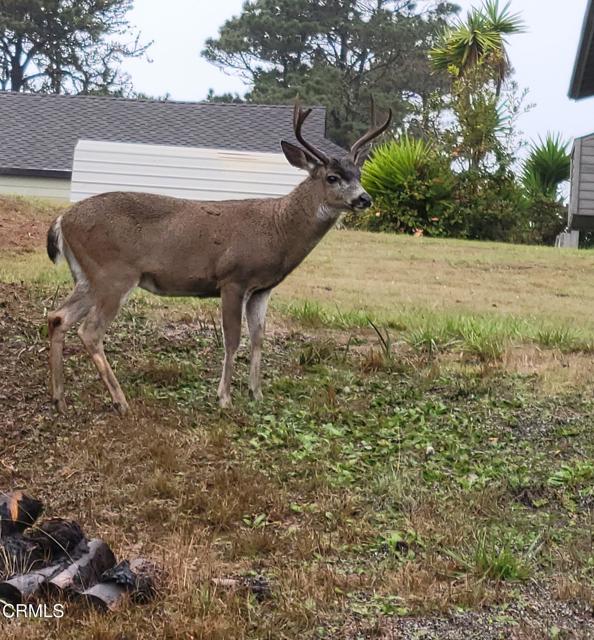 Detail Gallery Image 17 of 27 For 38882 Honey Run Ln, Gualala,  CA 95445 - 1 Beds | 1 Baths