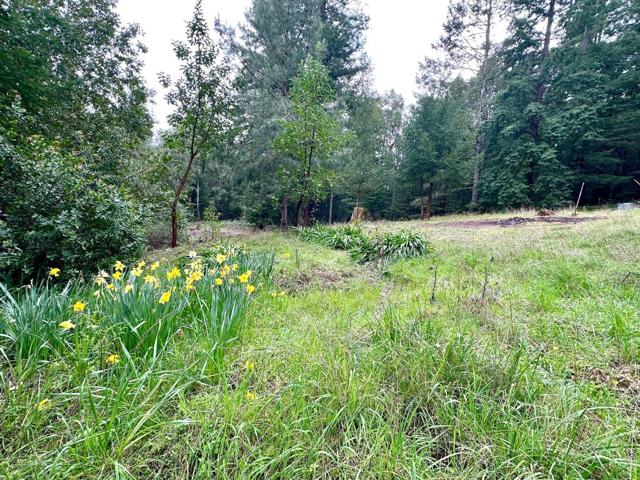 0 Eureka Canyon Road, Watsonville CA: https://media.crmls.org/mediaz/69e798fb-c5eb-4635-927e-38d08f534956.jpg
