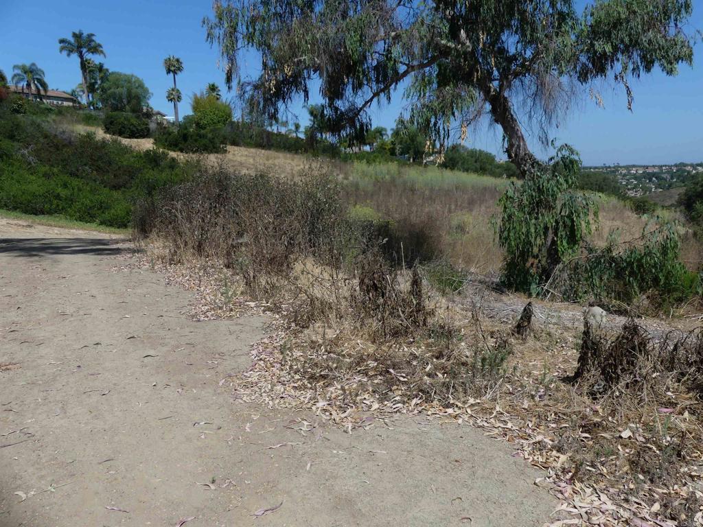 Paradise Glen Way San Marcos - photo 19