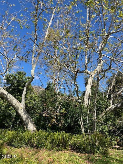 Image 14 of 29 For 1520 Carroll Drive