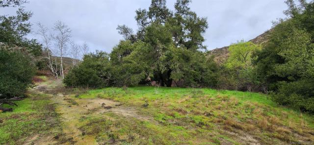 19832 Japatul Rd, Alpine CA: https://media.crmls.org/mediaz/69f1bc25-5e75-4eb6-8de9-ca4f40e4308e.jpg