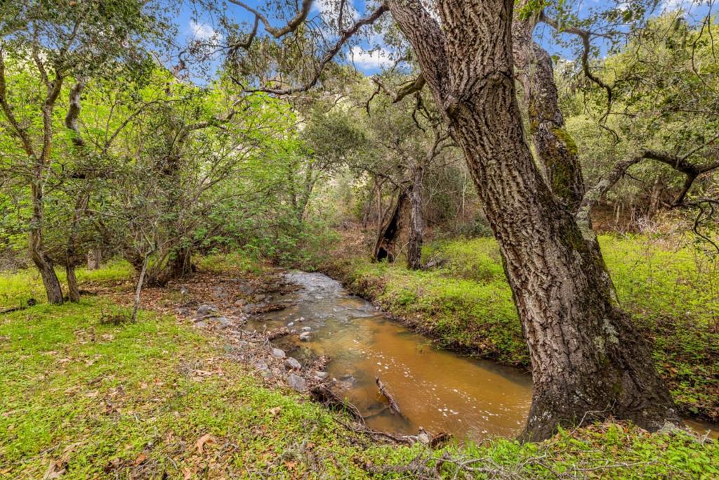 MLS #ML81998990 image #27