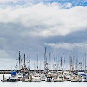 MLS #ML81855014 image #9