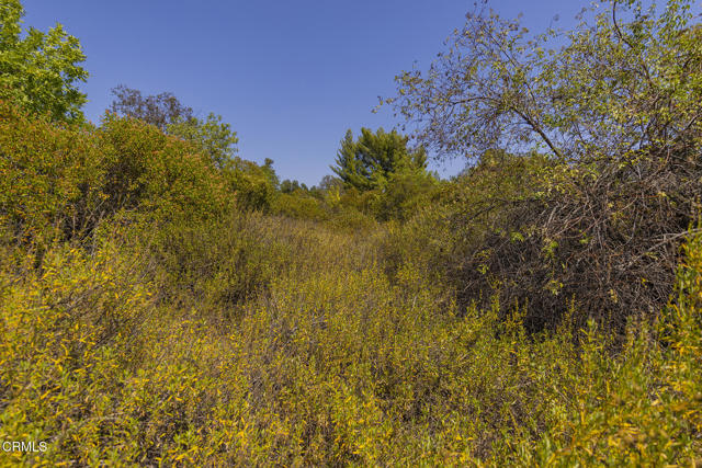 Detail Gallery Image 7 of 13 For 1 Henderson Rd, Ojai,  CA 93023 - – Beds | – Baths