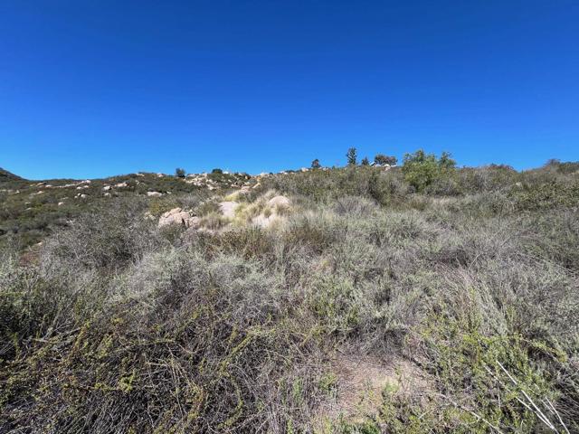 0 Wildcat Canyon Road, Lakeside CA: https://media.crmls.org/mediaz/6a0979d8-395b-496f-b95f-2ff6b877feec.jpg