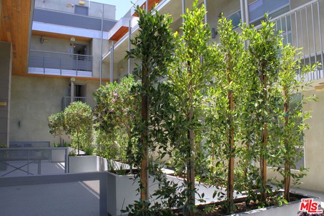 5806 Waring Avenue, Los Angeles CA: https://media.crmls.org/mediaz/6a0a0f78-3236-4321-8b98-9888be76912c.jpg