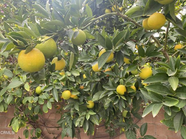 Detail Gallery Image 28 of 34 For 9212 Creemore Dr, La Crescenta,  CA 91214 - 3 Beds | 3 Baths