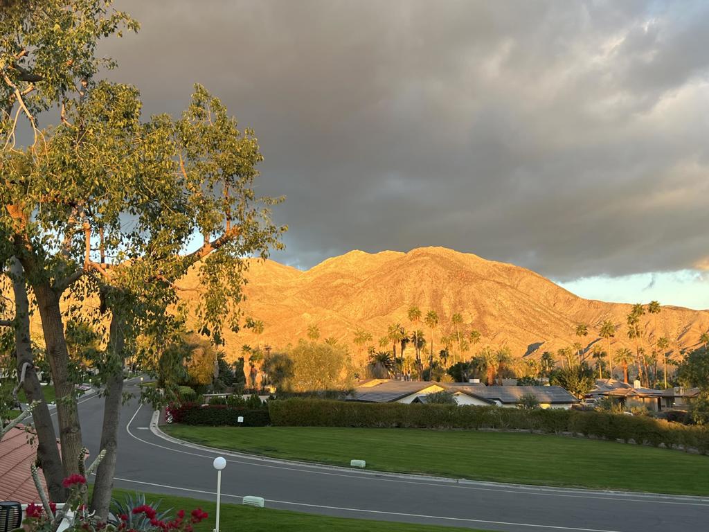 https://media.crmls.org/mediaz/6a134ac8-46b9-4f32-9773-c3a3719e513c.jpg?preset=X-Large