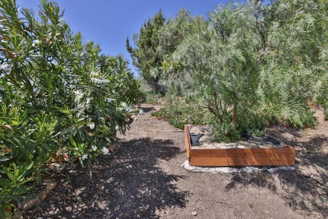 950 Macduff Court, San Jose CA: https://media.crmls.org/mediaz/6a23897c-d2c2-4ebd-b04f-2e54d78d45c0.jpg