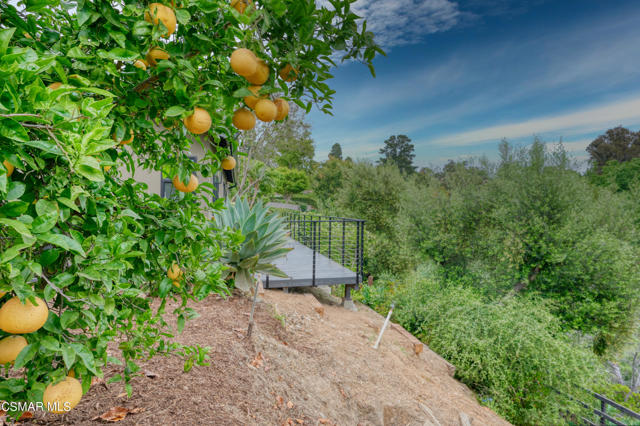 1820_ramona_drive_024