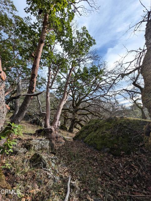 Detail Gallery Image 42 of 59 For 24051 Fig Tree Ln, Yorkville,  CA 95494 - – Beds | – Baths