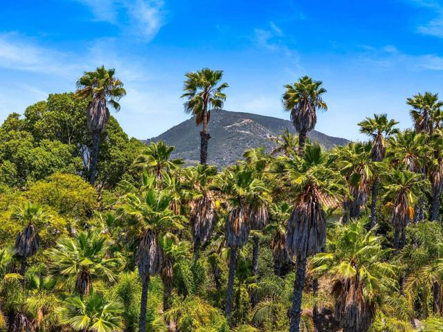 0 Ranger Road, Fallbrook CA: https://media.crmls.org/mediaz/6a340ea8-ac87-4b22-8b2a-052be946859f.jpg
