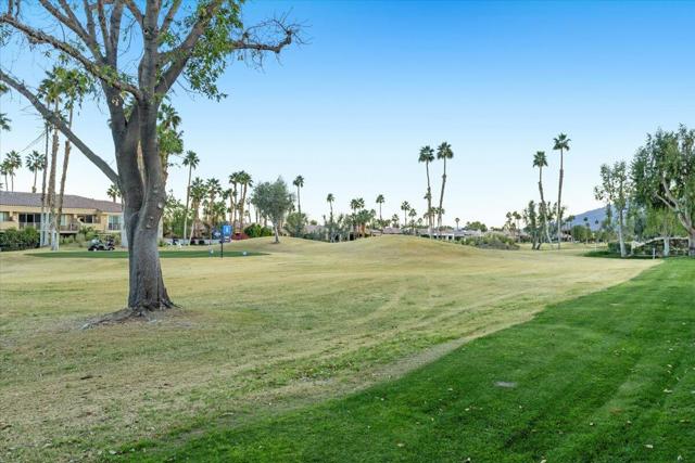 55566 Southern, La Quinta CA: https://media.crmls.org/mediaz/6a39171f-4be1-432f-8c5a-d8c89161b231.jpg