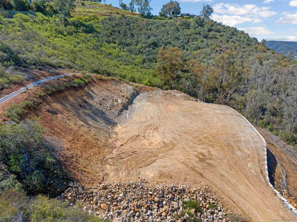 MLS #250022372SD image #17