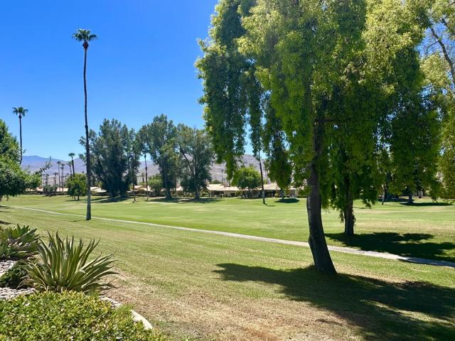 239 Santa Barbara Circle, Palm Desert CA: https://media.crmls.org/mediaz/6a497adc-bf2e-44ad-ba0d-3a5f966d1c52.jpg