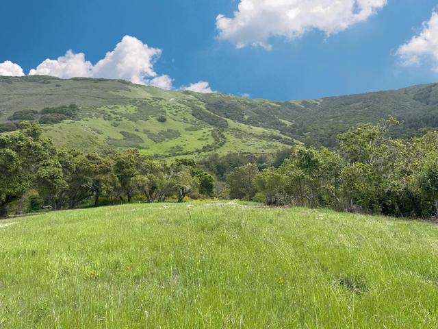 29 Potrero Trail, Carmel CA: https://media.crmls.org/mediaz/6a49bf5a-73cb-4adf-a03b-20a41452752a.jpg