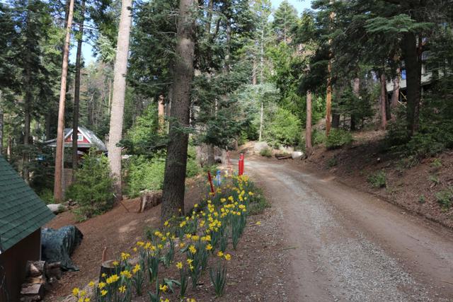 Detail Gallery Image 39 of 48 For 32811 Birch Hill Rd, Palomar Mountain,  CA 92060 - 2 Beds | 1 Baths