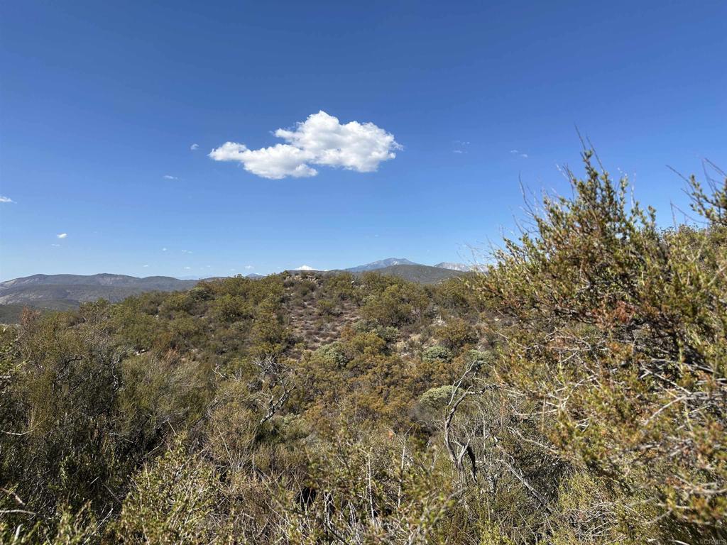 MLS #PTP2506948 image #12