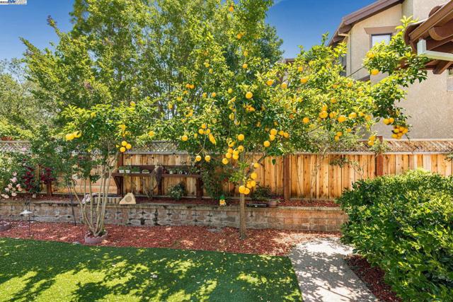 3535 Lessini, Pleasanton CA: https://media.crmls.org/mediaz/6a5bf424-be21-4adf-a2a4-e690ed2522fd.jpg