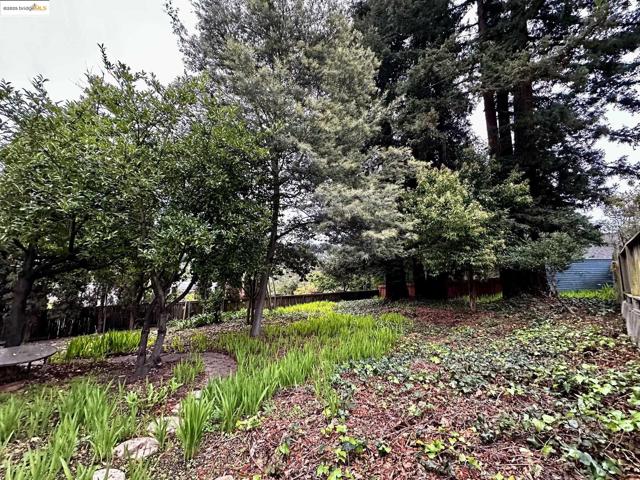 6014 La Salle Ave, Oakland CA: https://media.crmls.org/mediaz/6a5cdefe-75c8-44ba-821a-4fd021cc5543.jpg